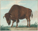 isaac-van-haastert-1808-bison-art-print-fine-art-reproduction-wall-art-id-a543jiclc