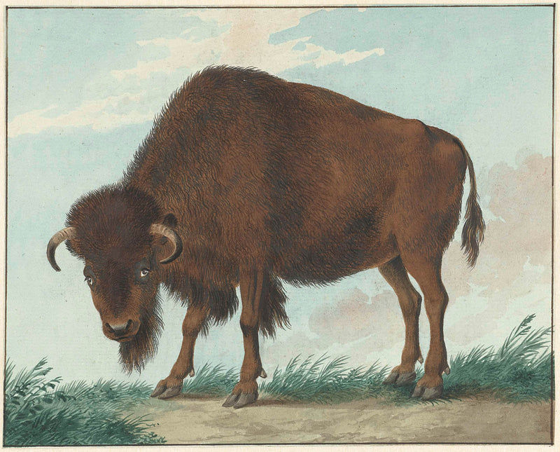 isaac-van-haastert-1808-bison-art-print-fine-art-reproduction-wall-art-id-a543jiclc