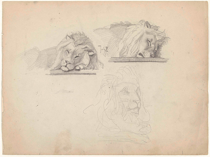 johan-braakensiek-1868-three-studies-of-a-lion-art-print-fine-art-reproduction-wall-art-id-a8yrk7ftj
